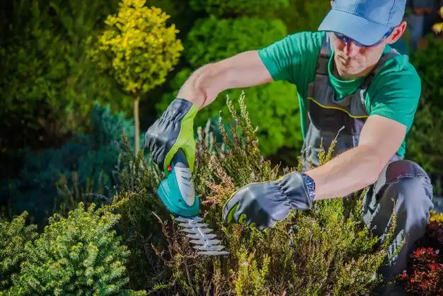 landscaping services Woodland Beach